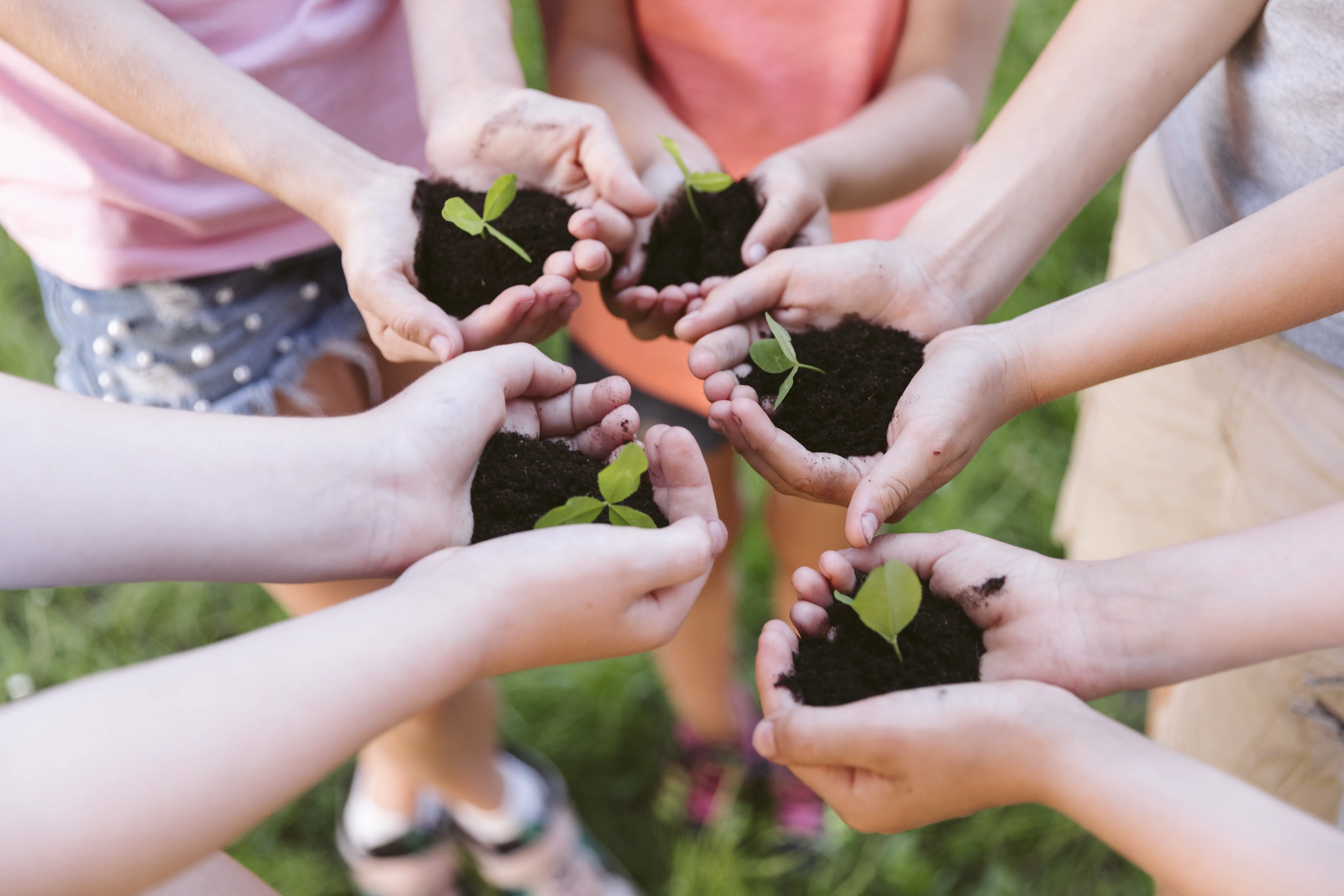 sustainability image